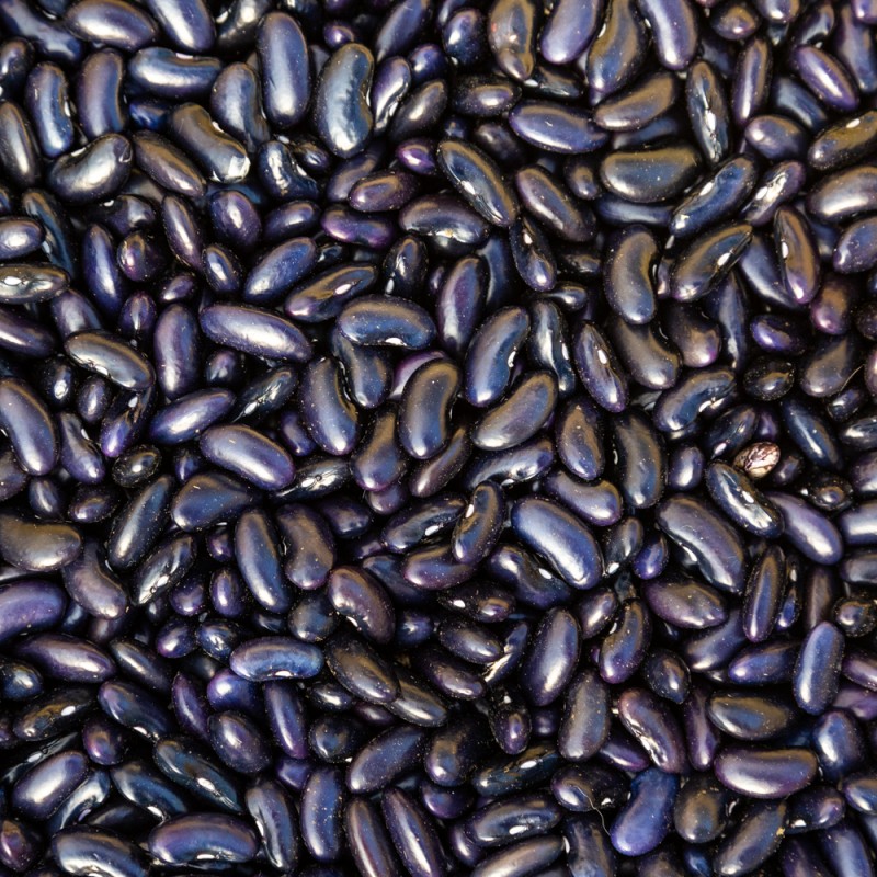 HARICOT NAIN Noir du Brésil - grains